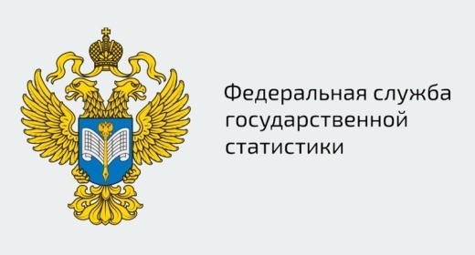 В январе-апреле 2025 года производство резиновых и пластмассовых изделий в России снизилось на 1,6%