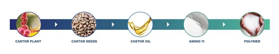 Pasted Graphic 356.jpg