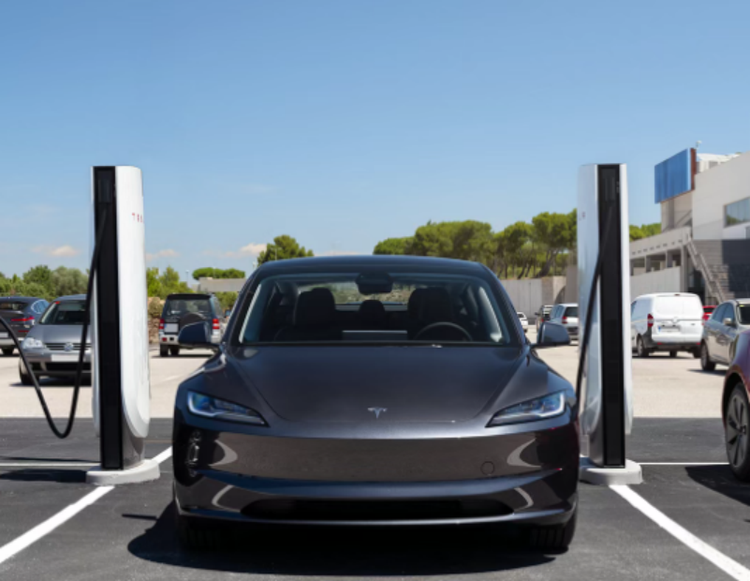 11月全球电动汽车销量增速创2024年2月以来新低