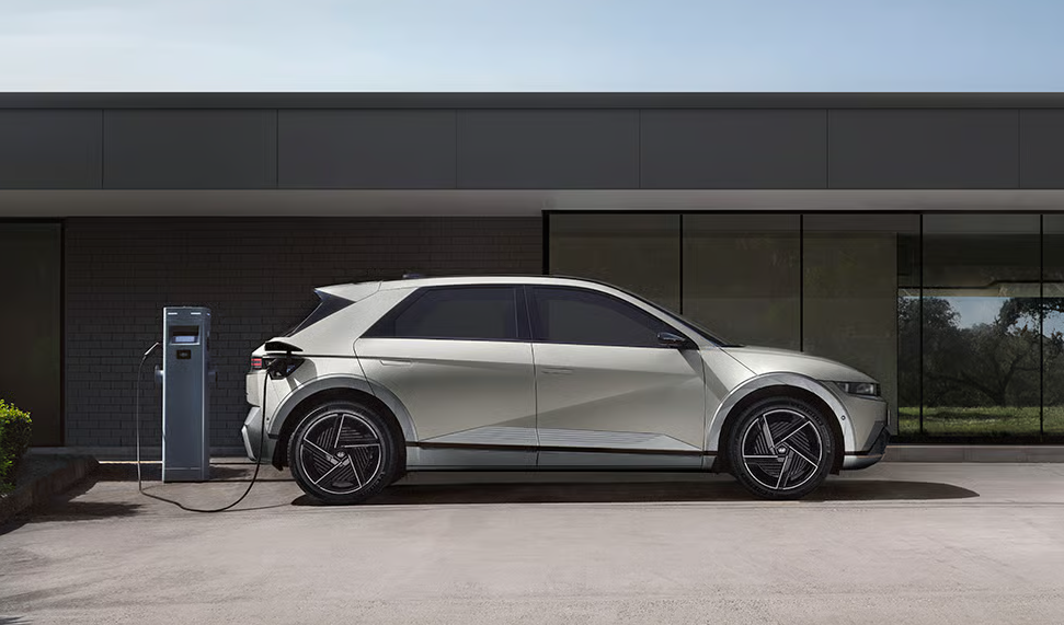 6389374984719426146556002.png 6389374984719426146556002.png